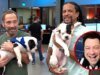 Puppy Bowl Ref Menjanjikan Lebih Banyak Drama Daripada Human Super Bowl