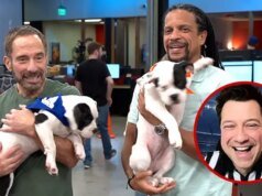 Puppy Bowl Ref Menjanjikan Lebih Banyak Drama Daripada Human Super Bowl