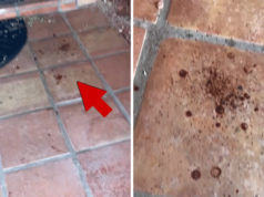 Video Menunjukkan Darah Di Luar Rumah Ibu Hilang Penyiar ‘TODAY’ Savannah Guthrie