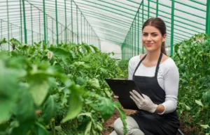 Jim Cramer Mencintai Kawasan Deere (DE).