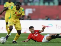 Cheetah akan menghadapi Palestina dan Guinea pada bulan Maret