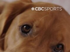 Kisah cinta pemain hoki es terbaik dan rekan setimnya yang merevolusi Olimpiade Musim Dingin