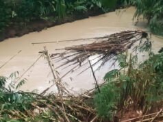Ini Penyebab Kali di Tangsel Tercemar Cairan Kimia
